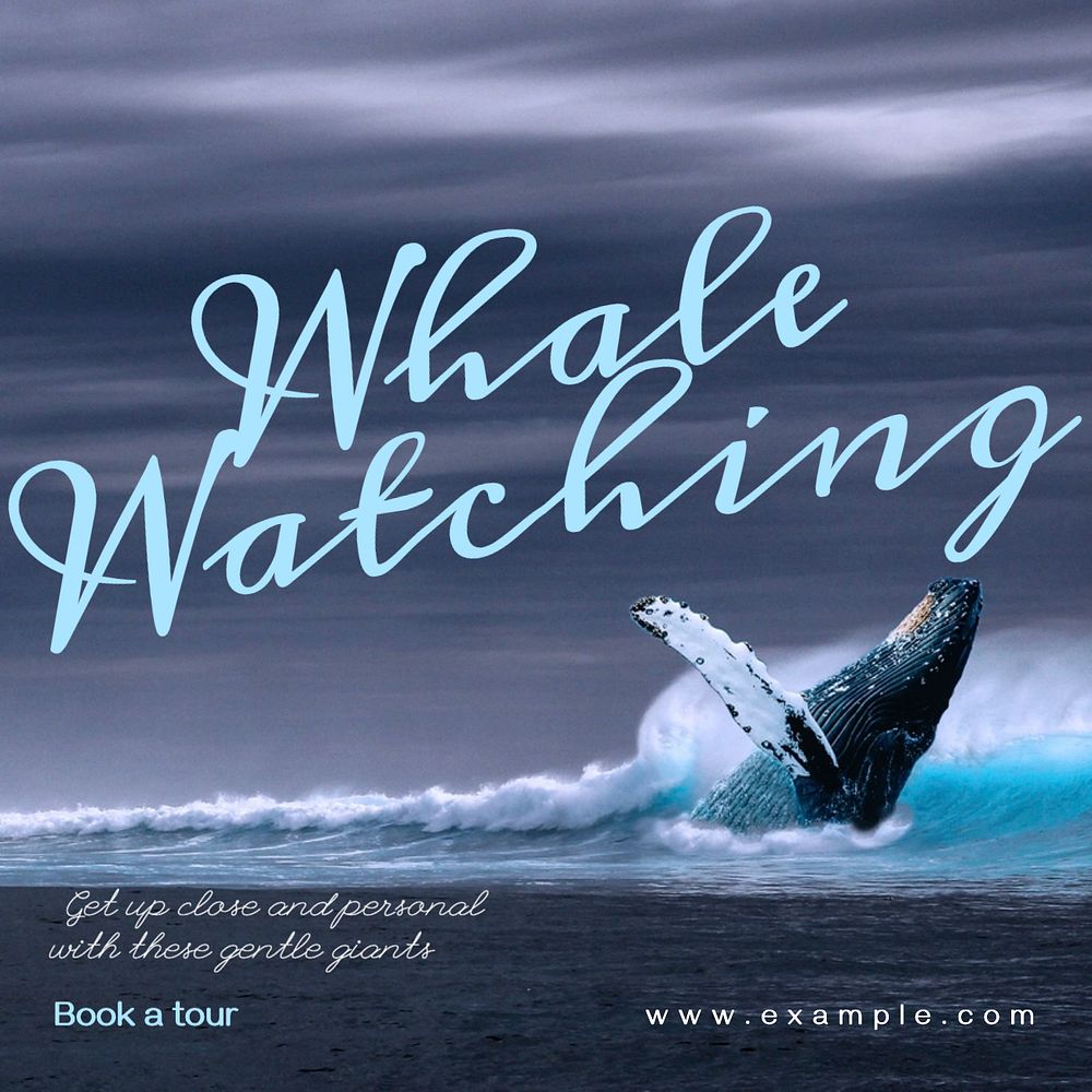 Whale watching Instagram post template