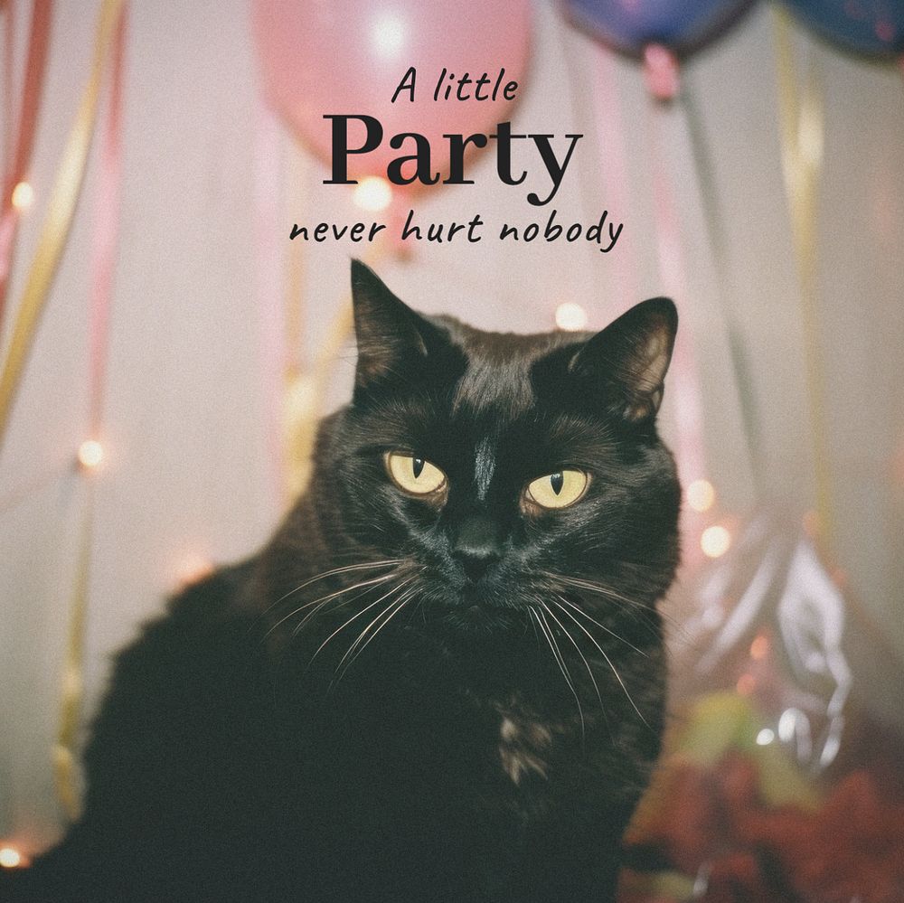 Party quote Instagram post template