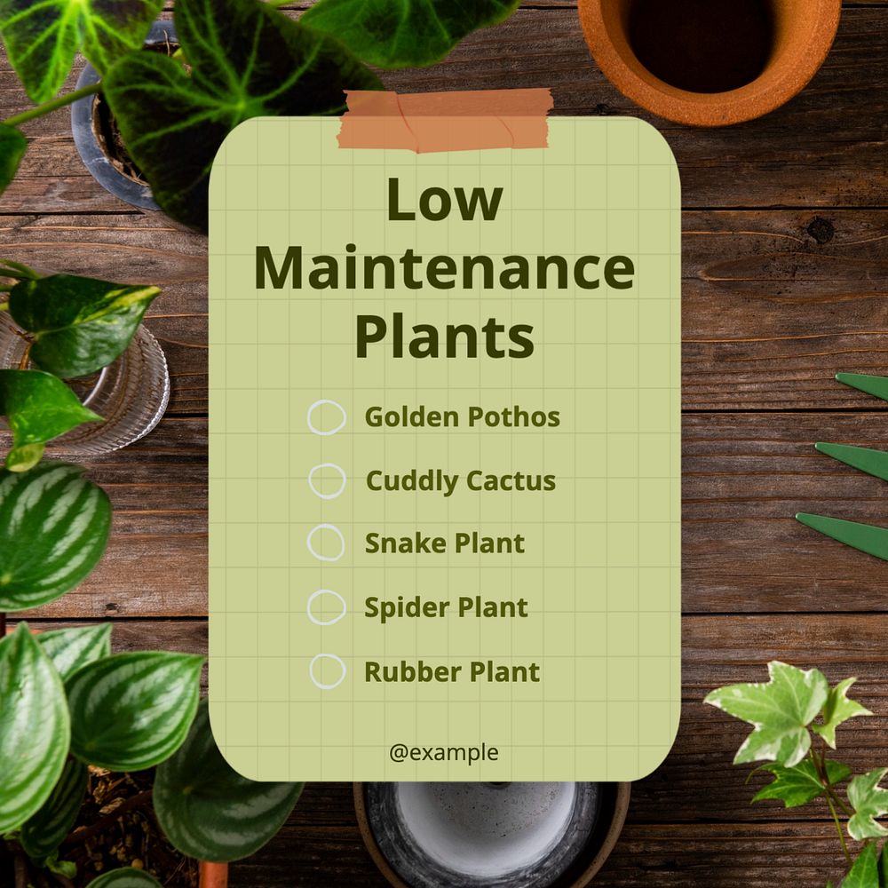 Low maintenance plants Instagram post template