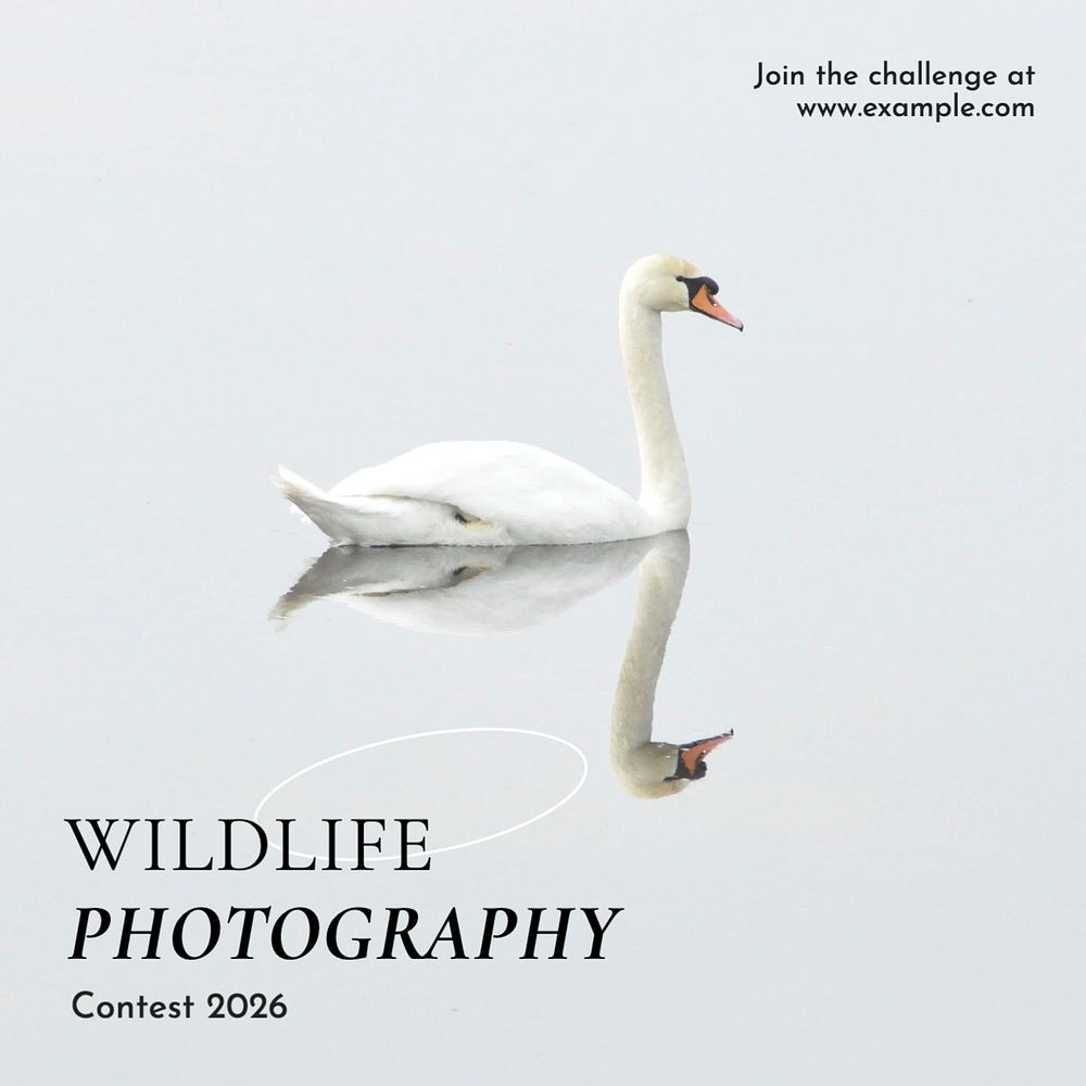 Wildlife photography contest Instagram post template