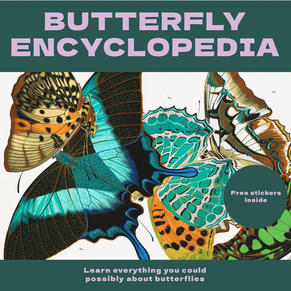 Butterfly encyclopedia Instagram post template