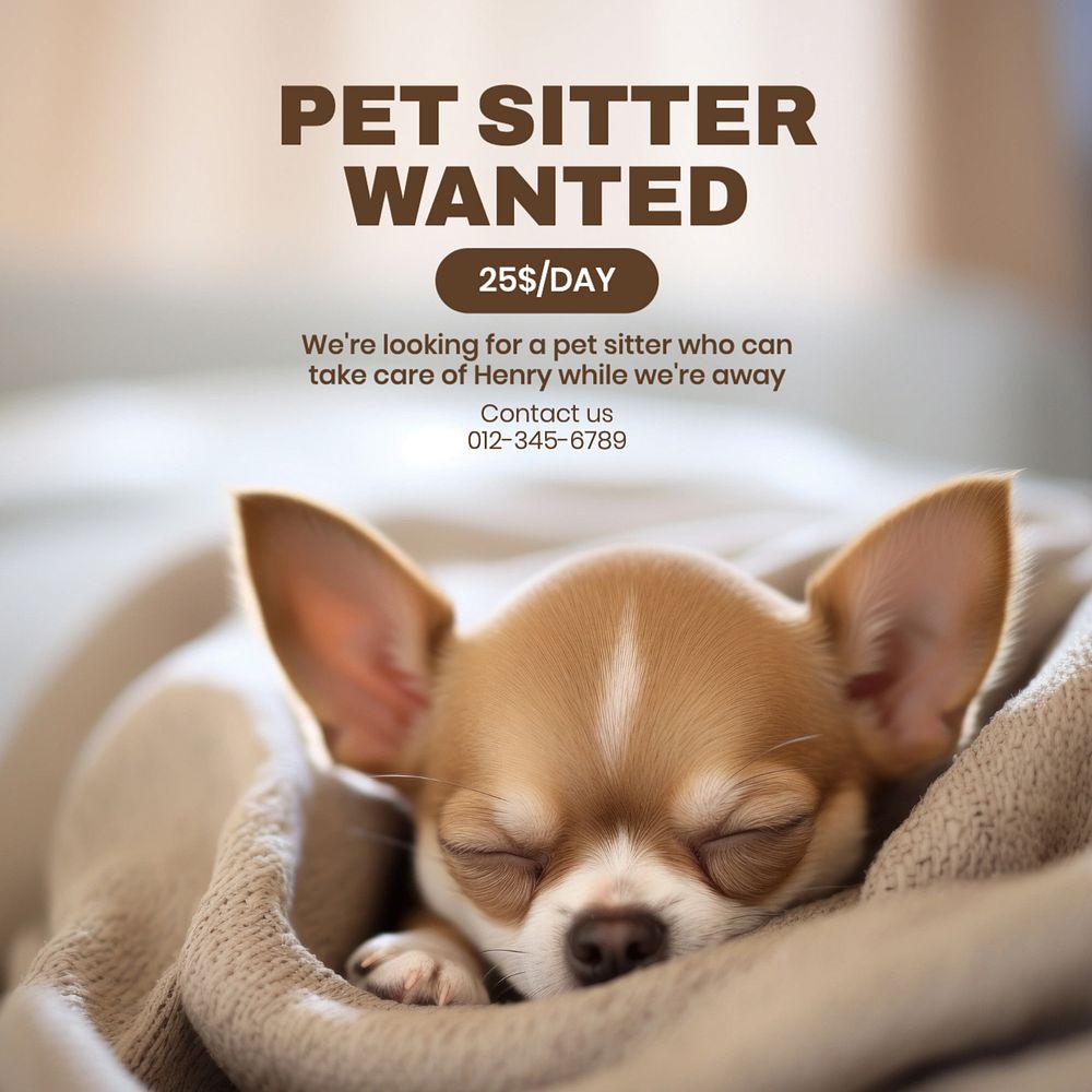 Pet sitter wanted Instagram post template