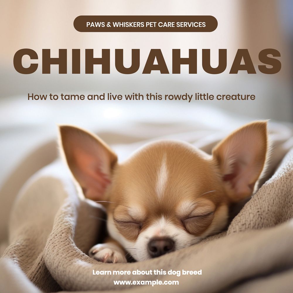 Chihuahua Instagram post template