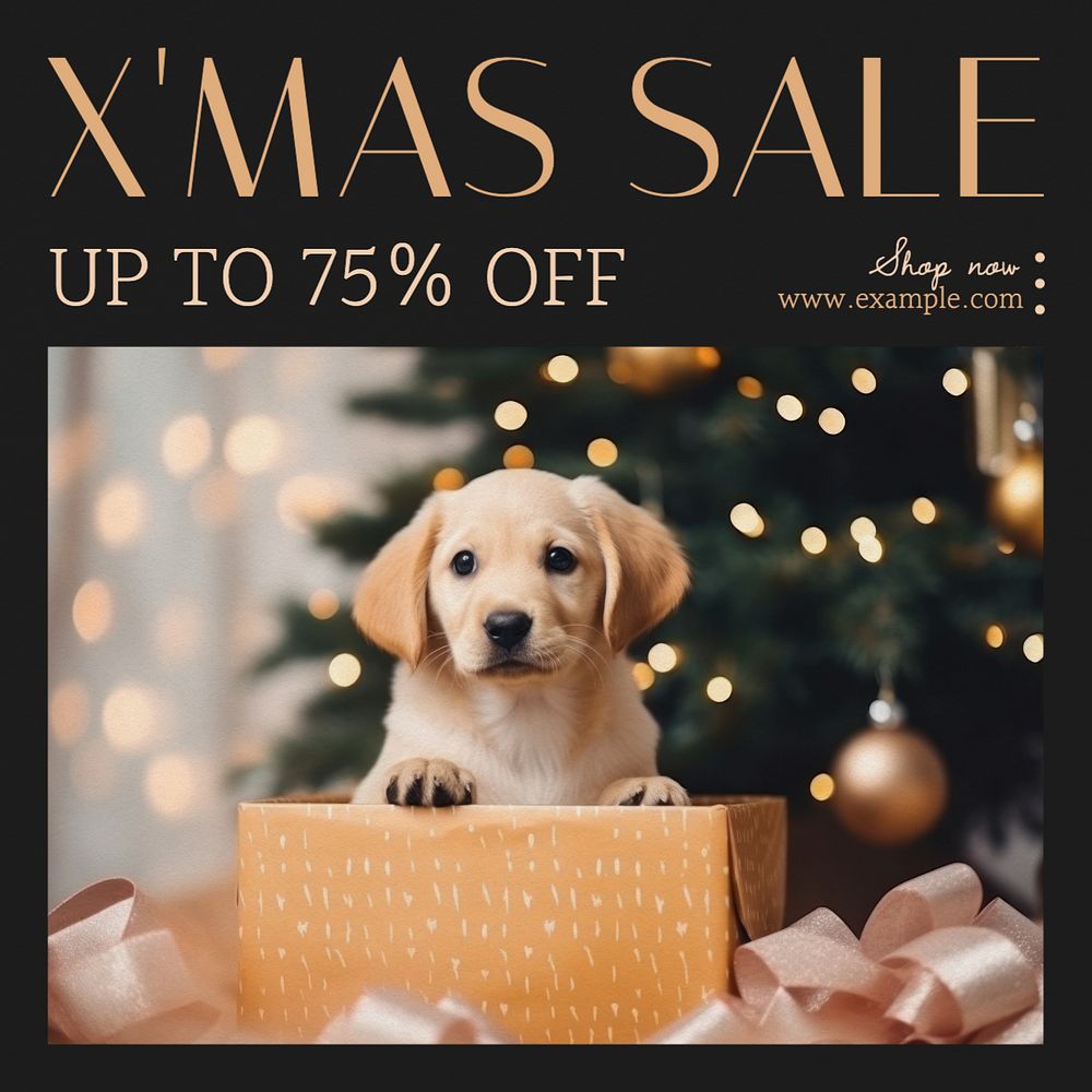 Xmas sale Instagram post template