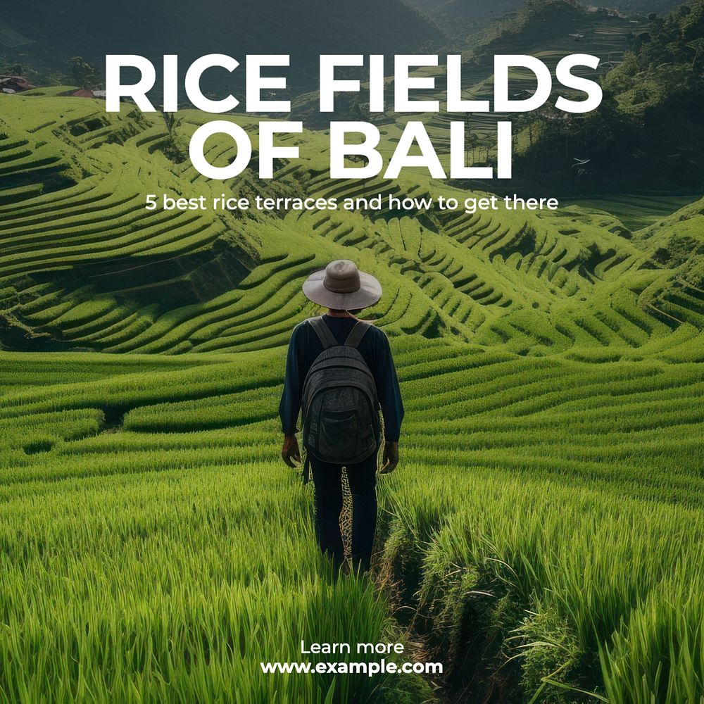 Bali rice fields Instagram post template