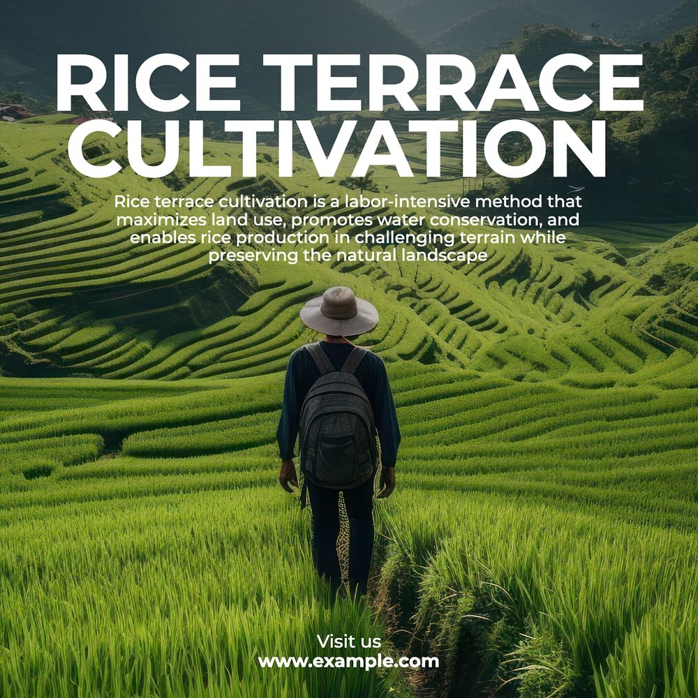 Rice terrace Facebook post template