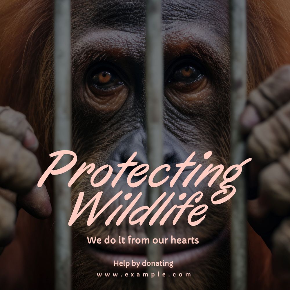 Wildlife charity Instagram post template