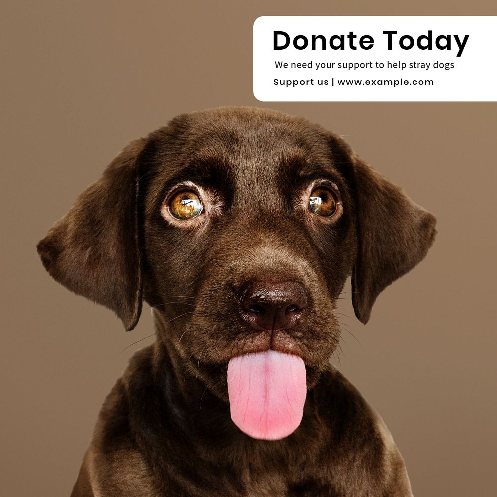 Donate today Instagram post template, editable text