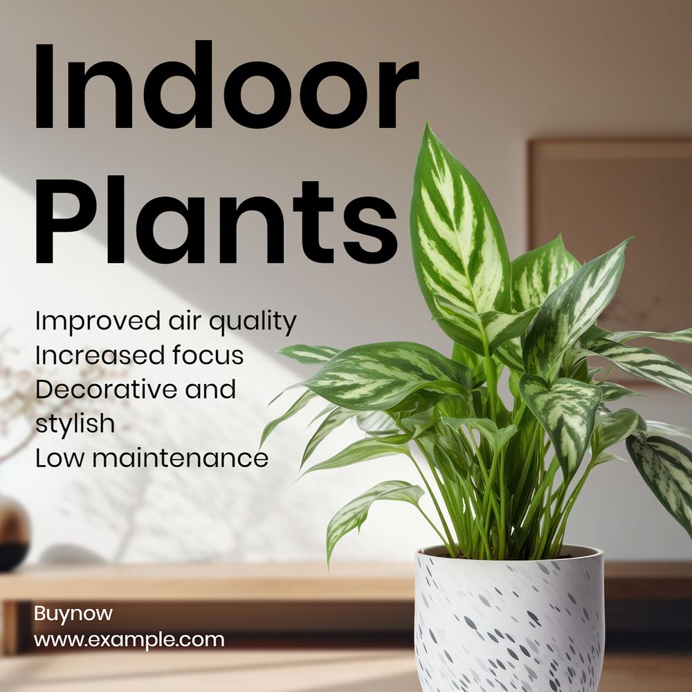 Indoor plants Facebook post template