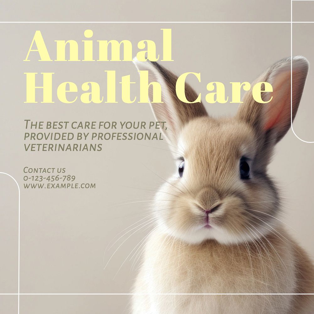 Animal health care Facebook post template