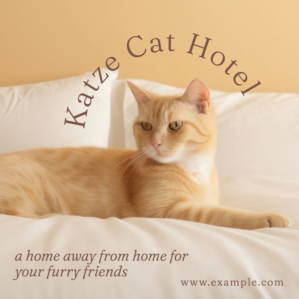 Cat hotel ads Facebook post template