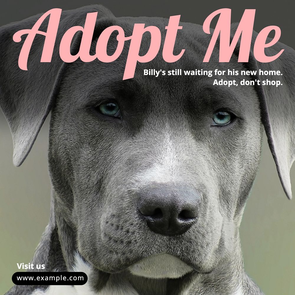 Adopt don't shop Instagram post template