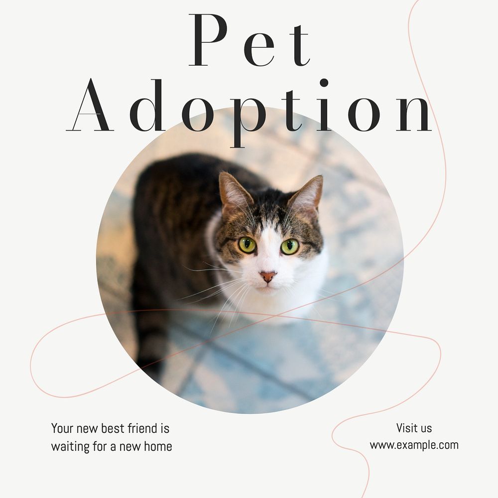 Pet adoption Instagram post template