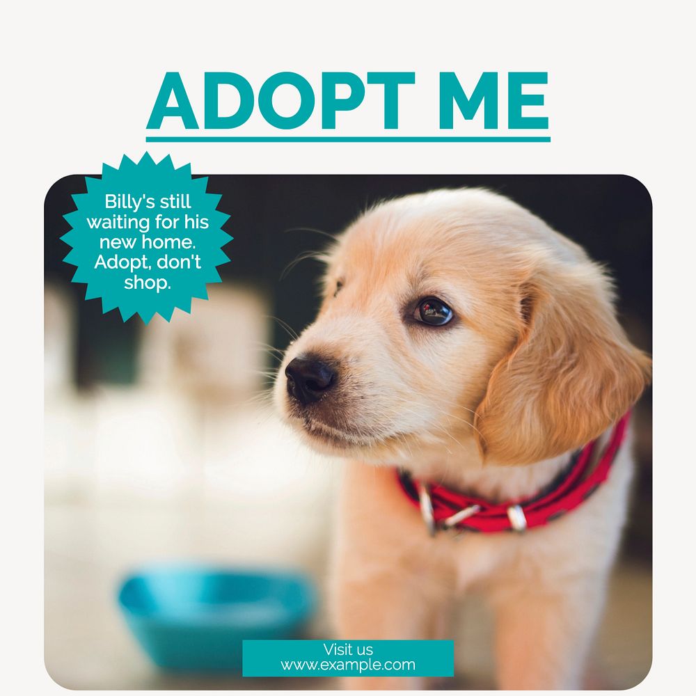 Adopt don't shop Instagram post template