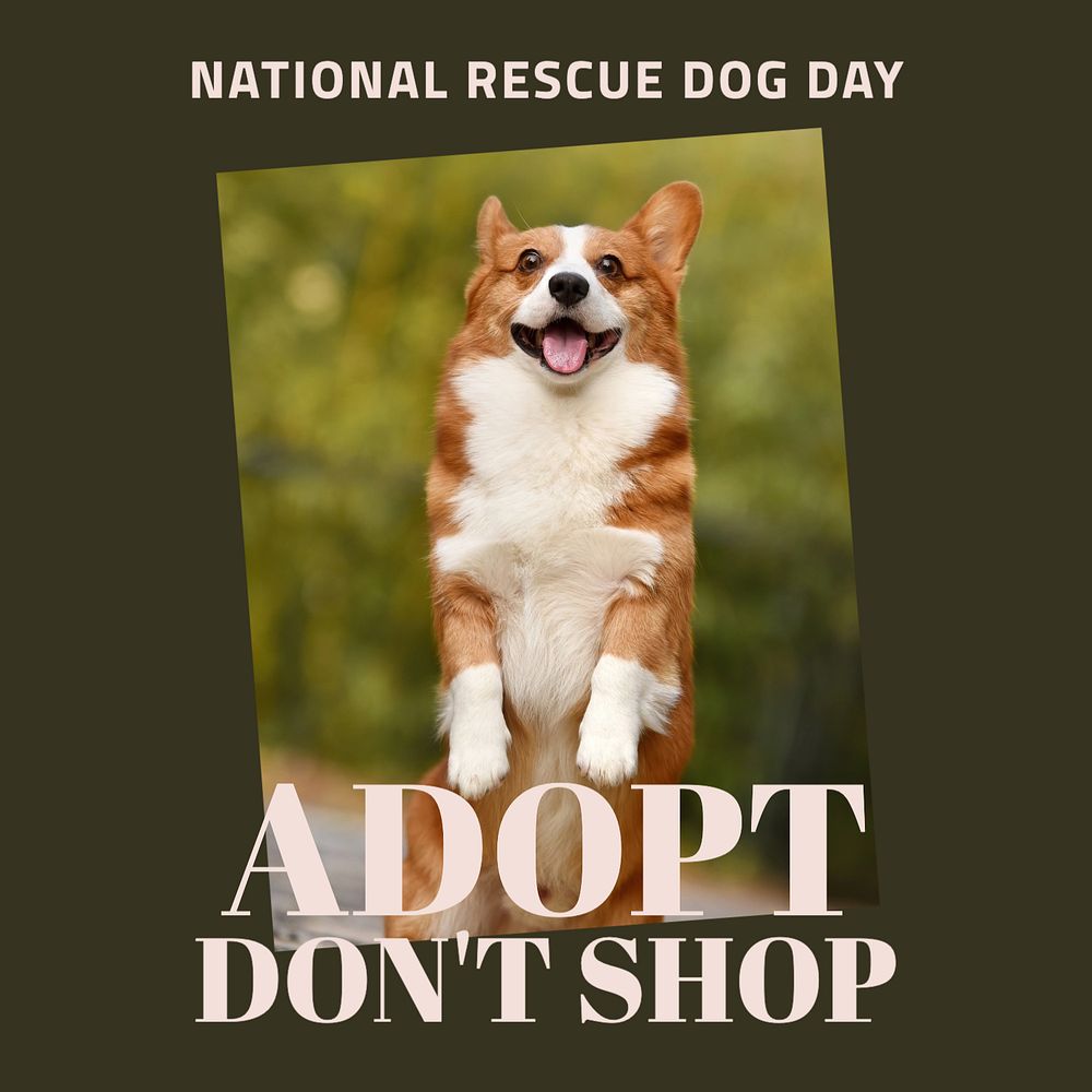 Rescue dog day Instagram post template