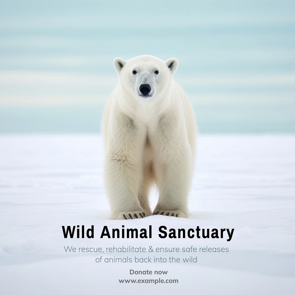 Wildlife sanctuary Instagram post template