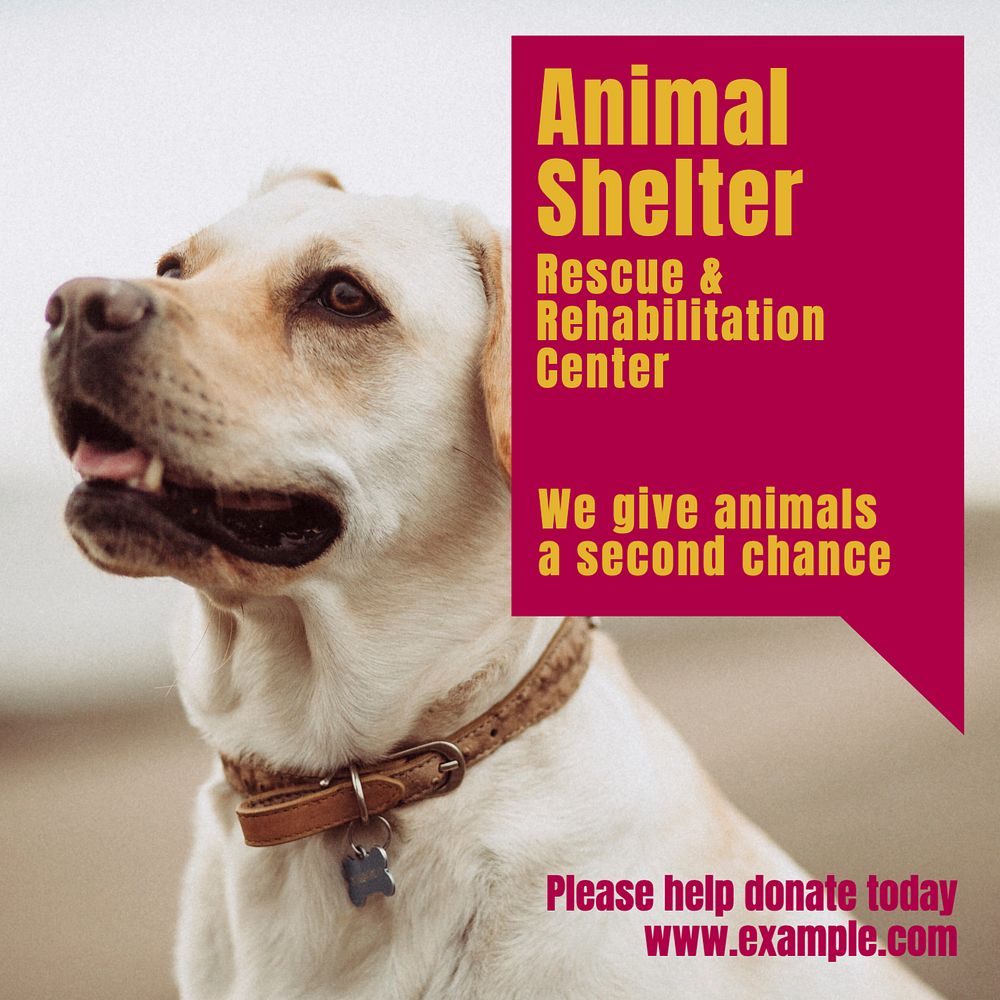 Animal shelter Instagram post template