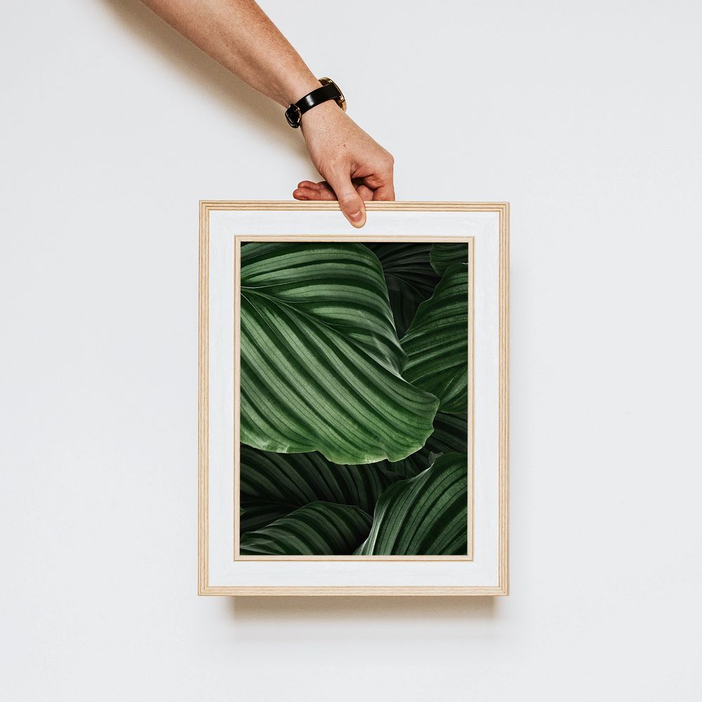 Hand holding picture frame mockup, editable design
