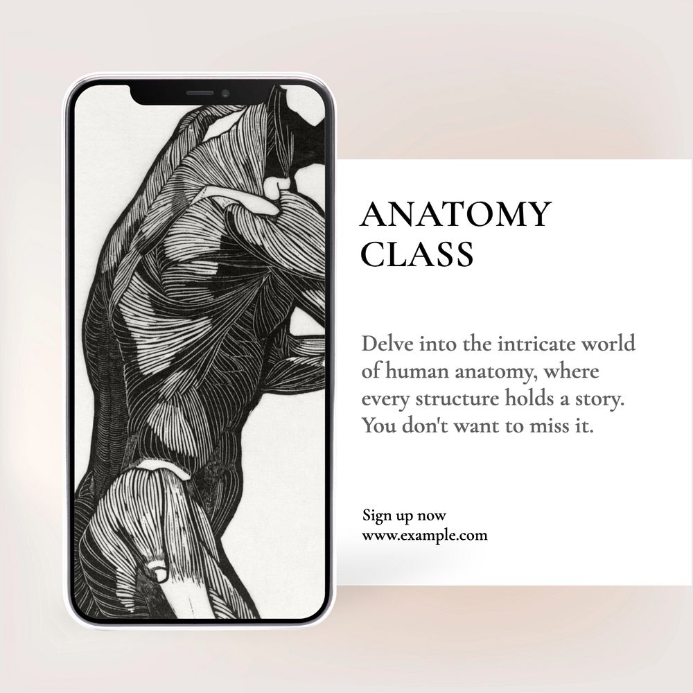 Anatomy class Instagram post template