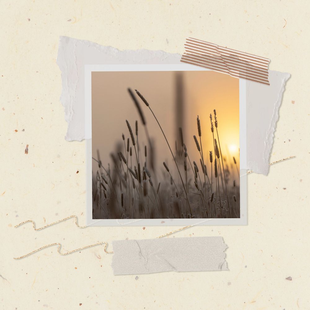 Paper note mockup, grass flower at sunset  editable design