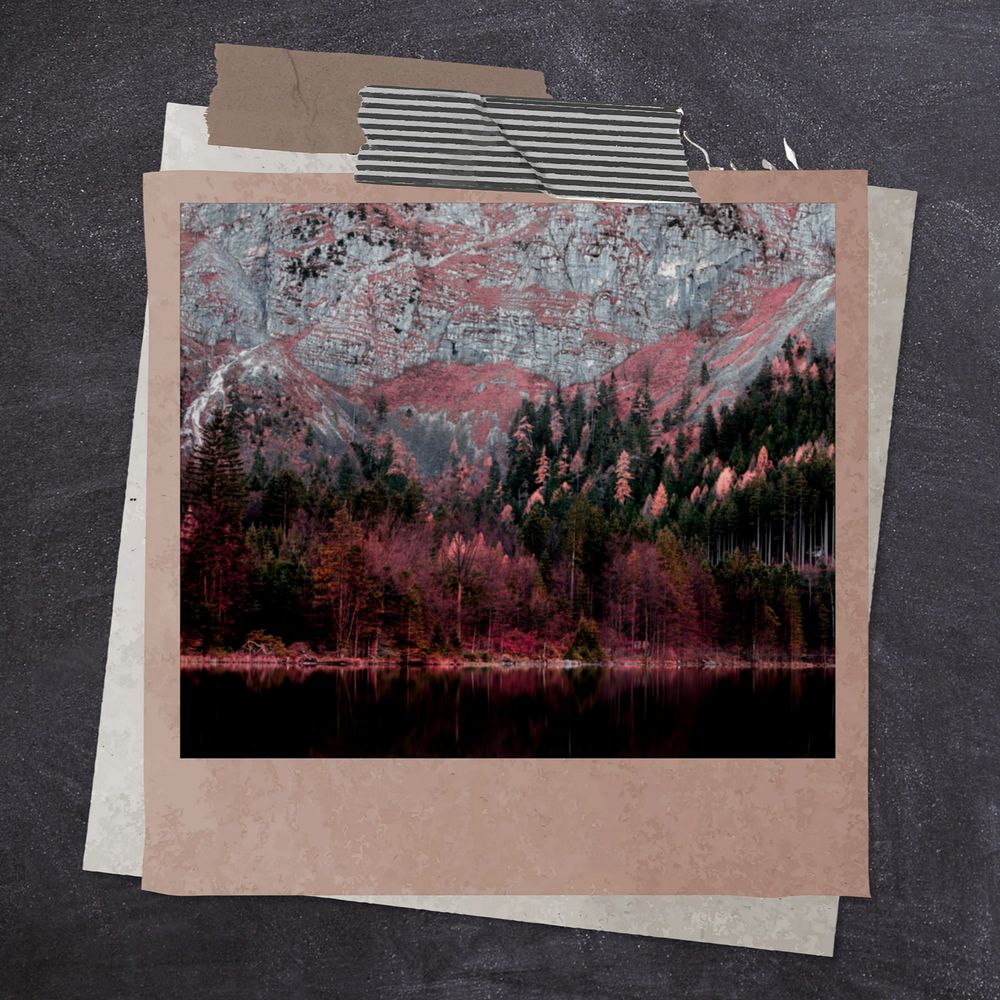 Instant film frame mockup, dark forest  editable design