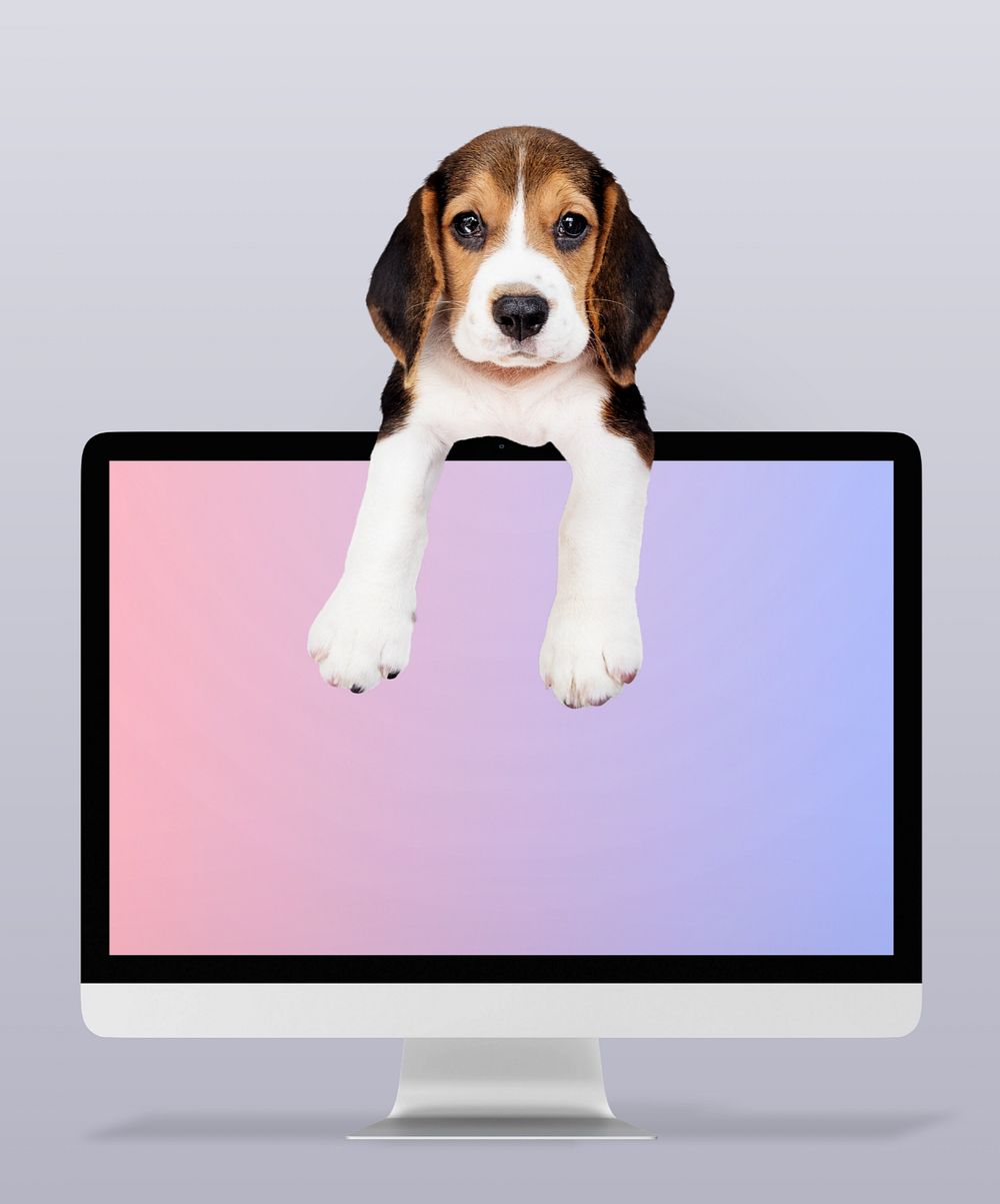 Customizable computer monitor screen mockup, cute Beagle design