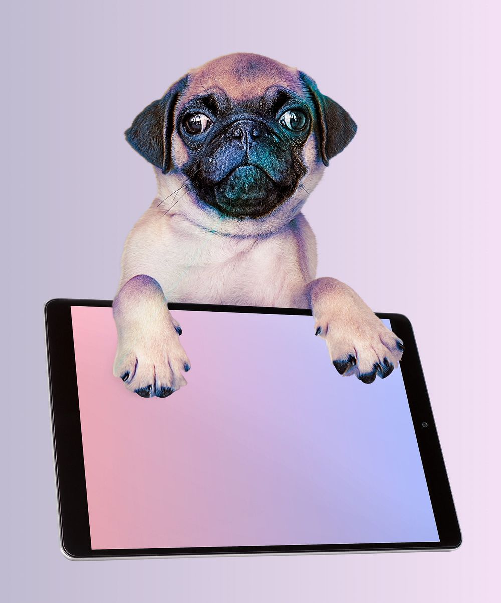 Customizable tablet screen mockup, cute Pug design