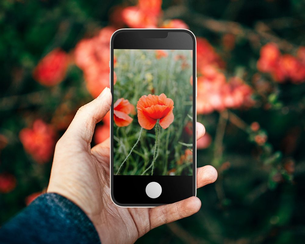 Mobile phone screen mockup, editable digital device design