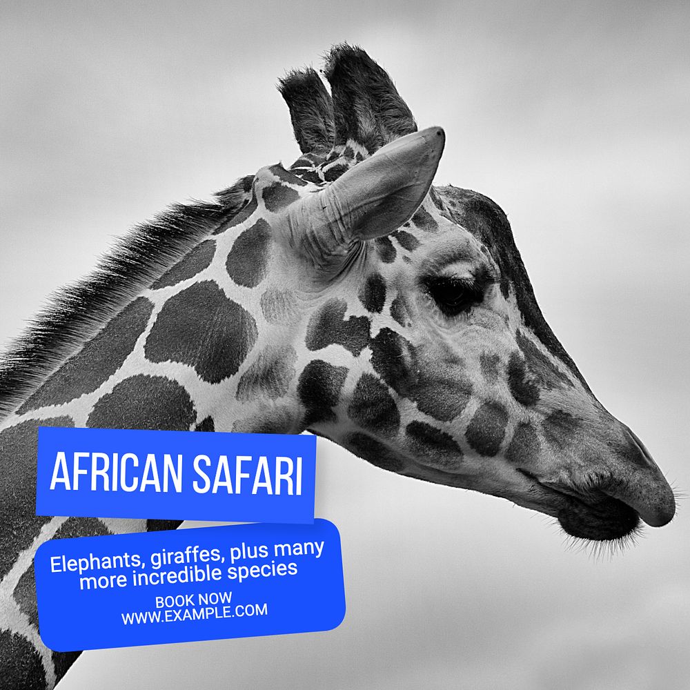 African safari Instagram post template