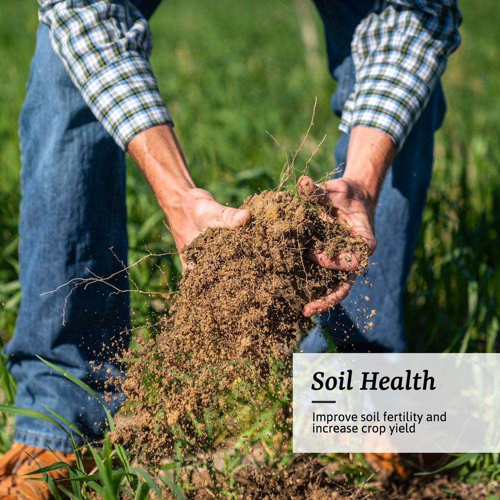 Soil health Instagram post template