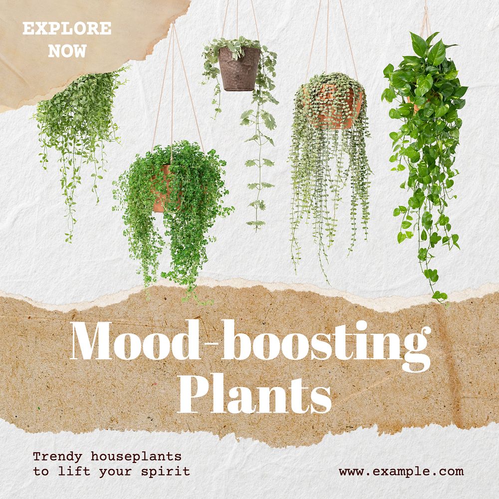 Mood-boosting plants Instagram post template