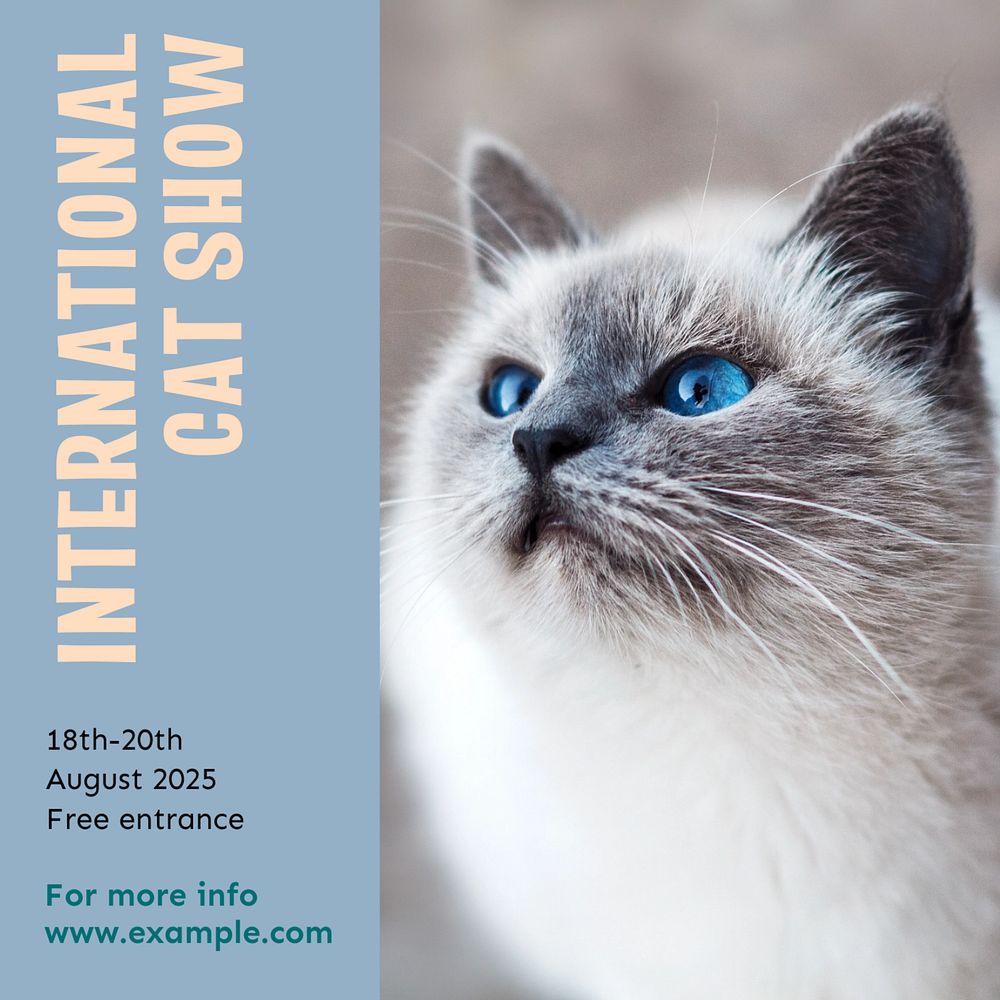 International cat show Instagram post template, editable text