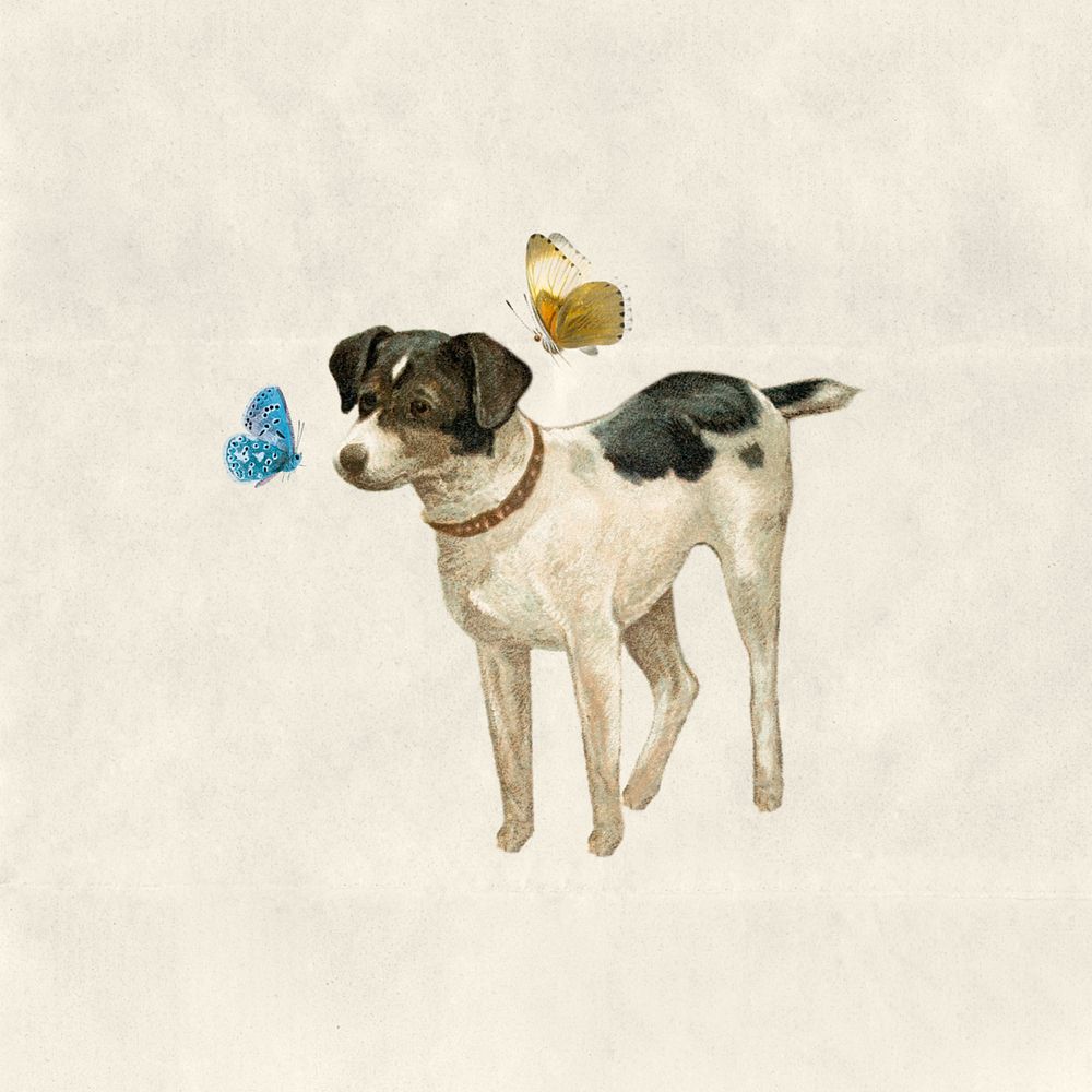 Vintage dog with butterflies collage remix editable design