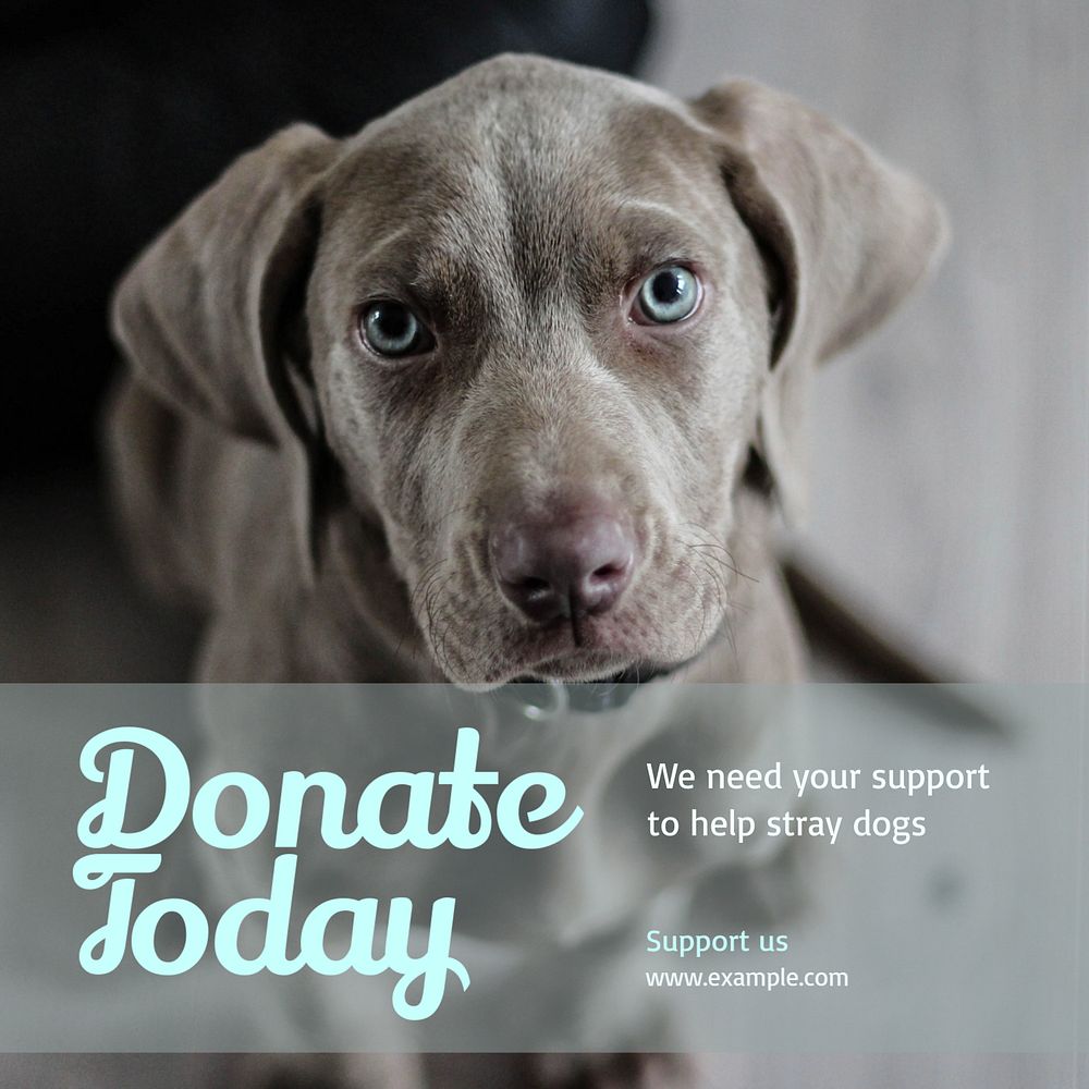 Animal donation Instagram post template, editable text