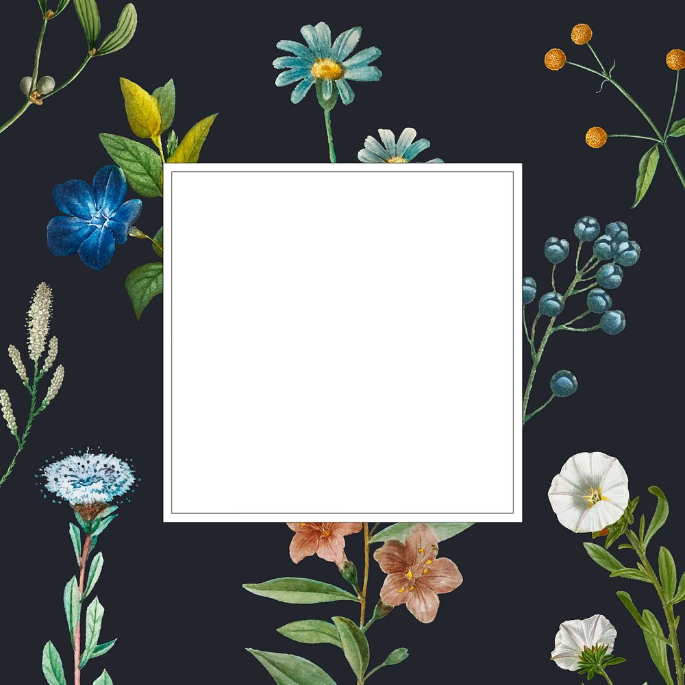 Botanical flower frame aesthetic background, editable design