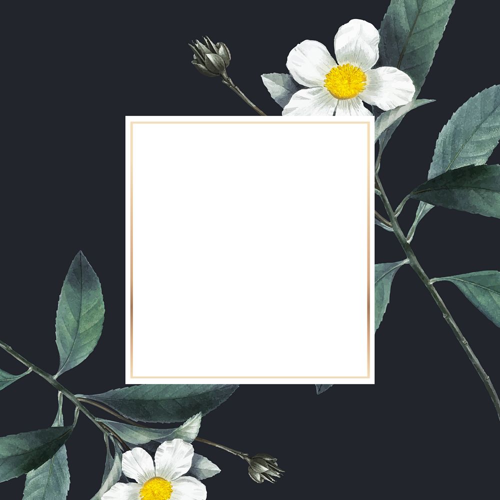 White flower frame aesthetic background, editable design