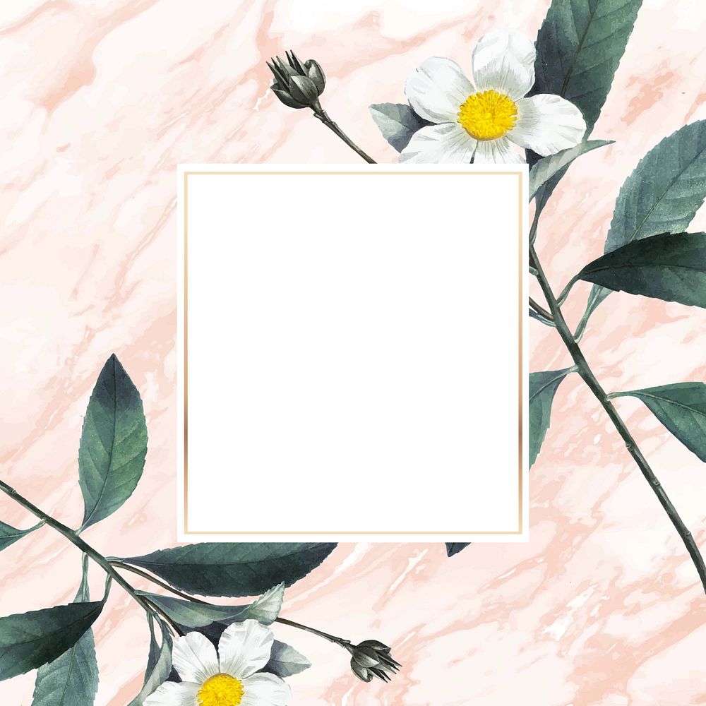 White flower frame aesthetic background, editable design