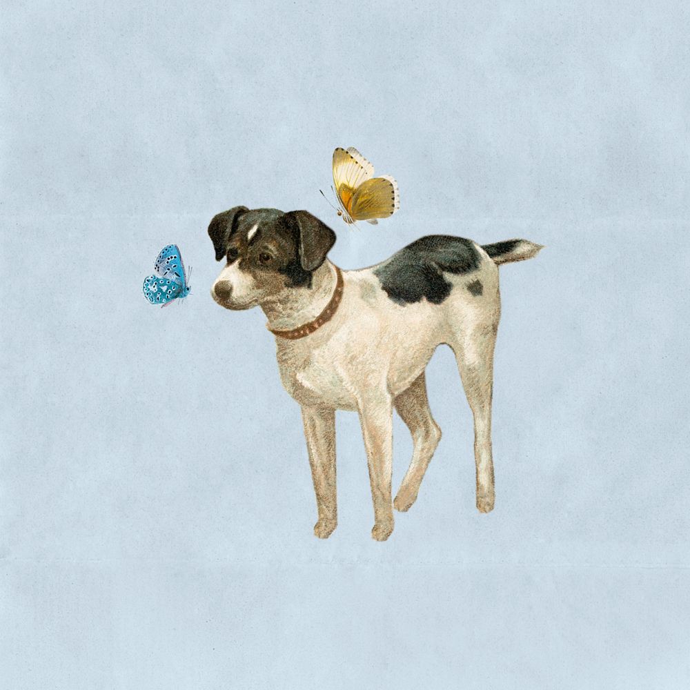 Vintage dog with butterflies collage remix editable design