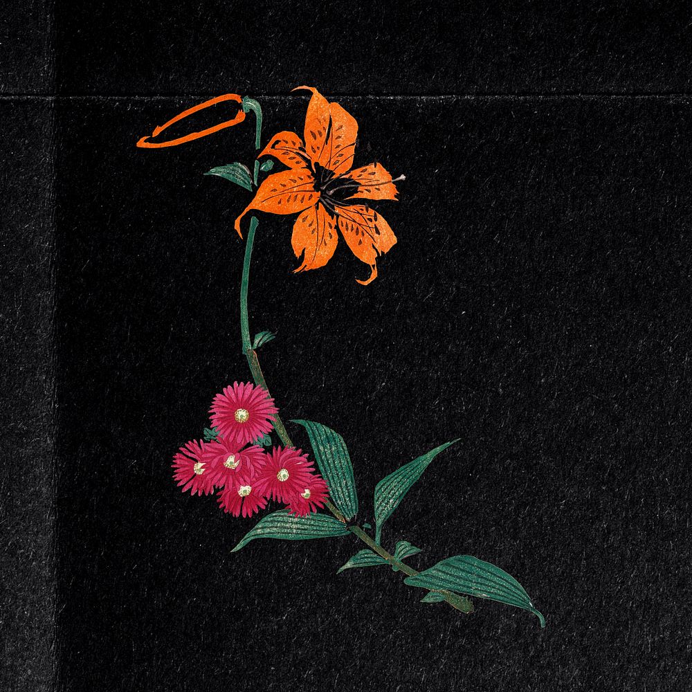 Tiger lily flower, vintage illustration. Remixed by rawpixel.