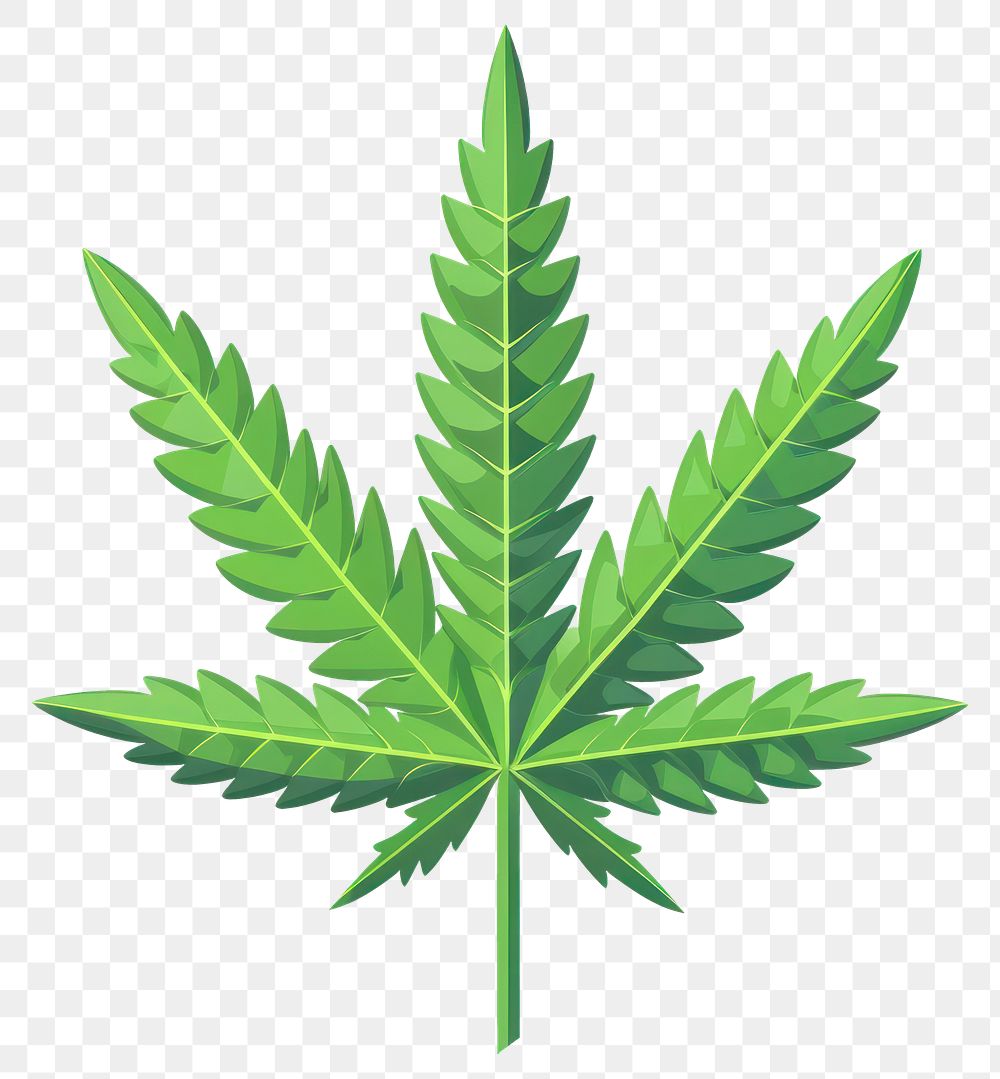 PNG Illustration of marijuana icon plant leaf hemp.
