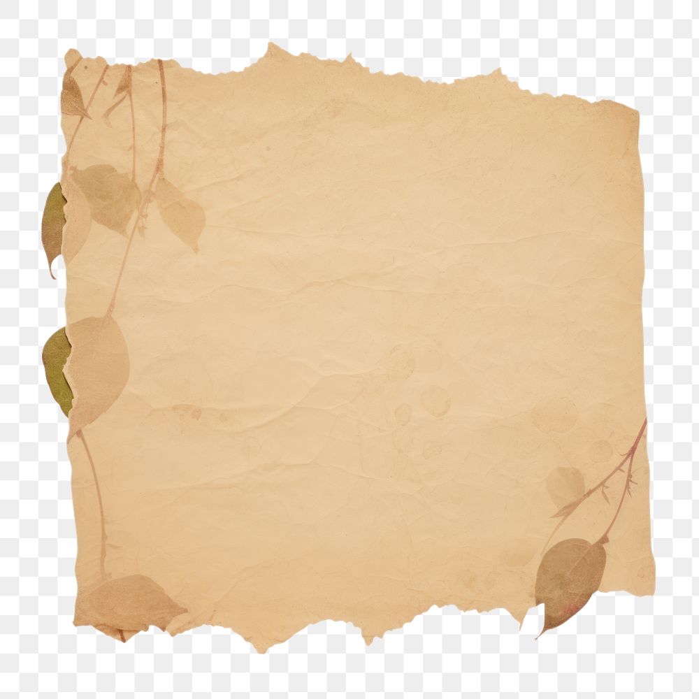 PNG Vine ripped paper text diaper.