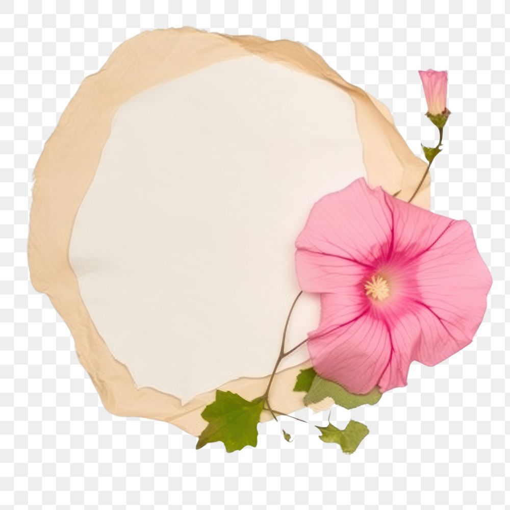 PNG Morning glory ripped paper hibiscus blossom anemone.