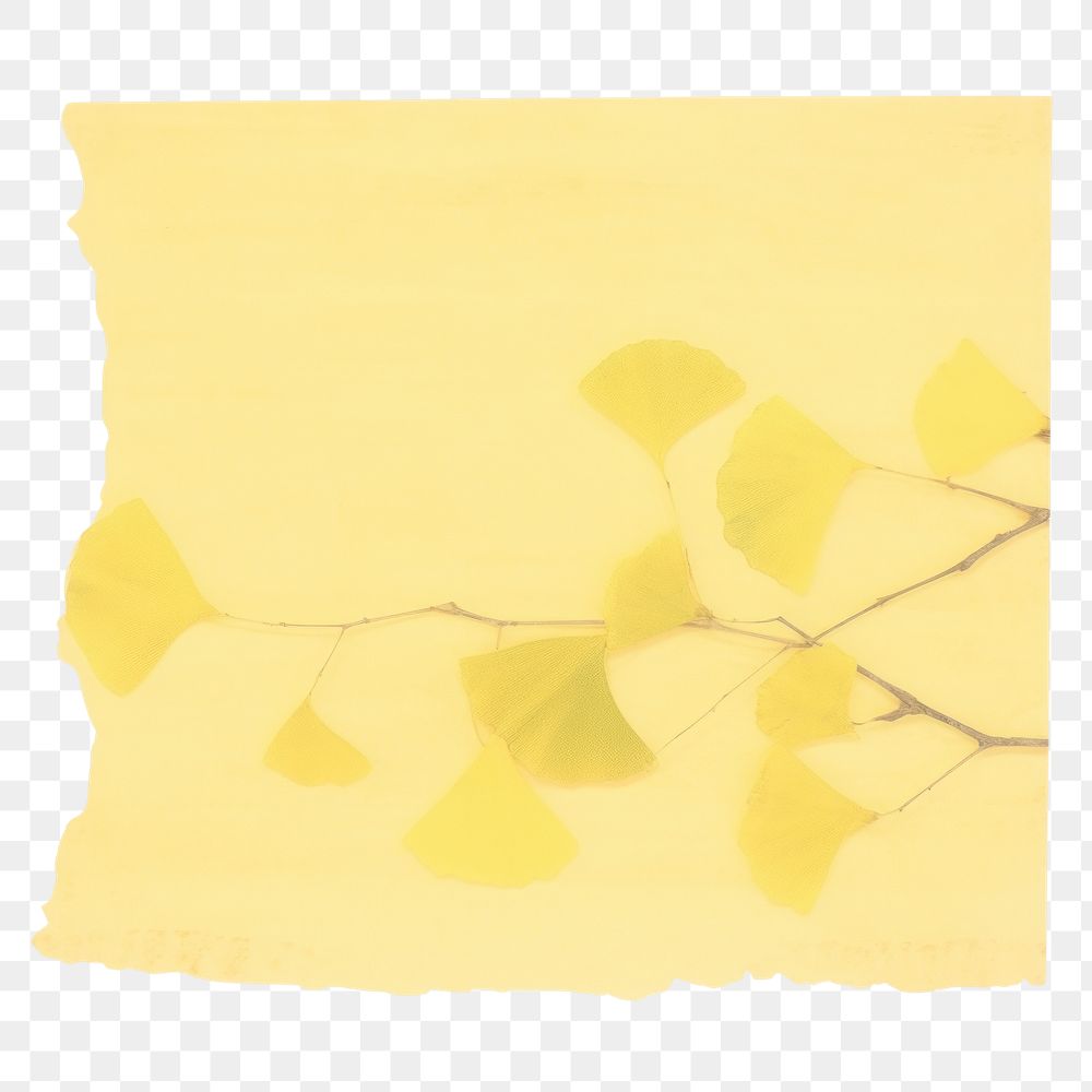 PNG Ginkgo ripped paper blossom flower animal.