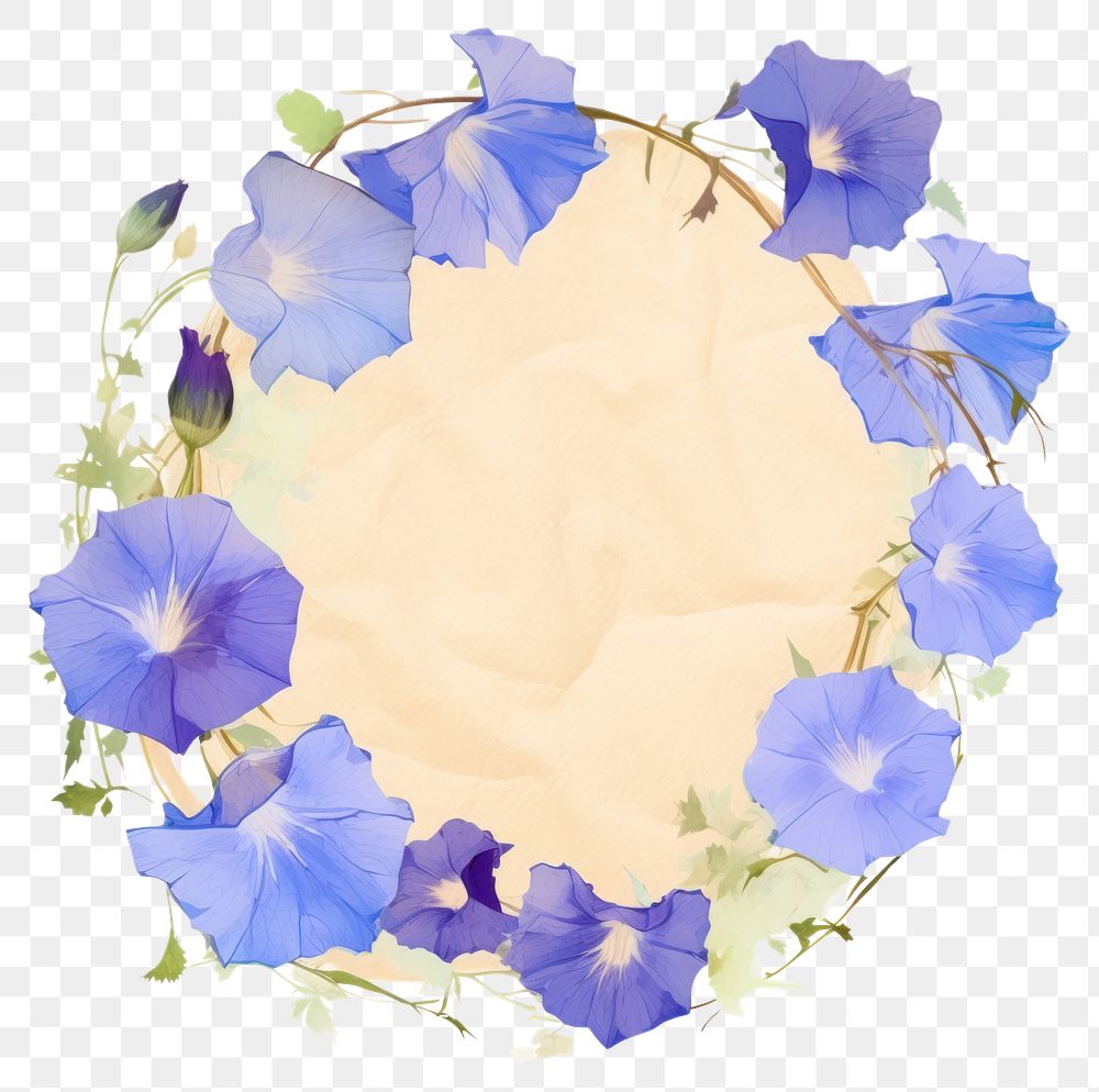 PNG Morning glory ripped paper blossom anemone flower.