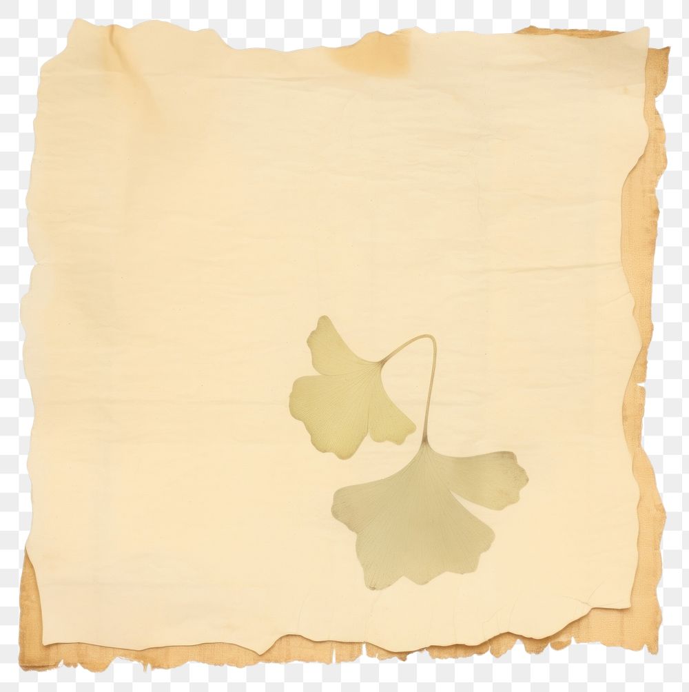 PNG Ginkgo ripped paper text diaper plant.