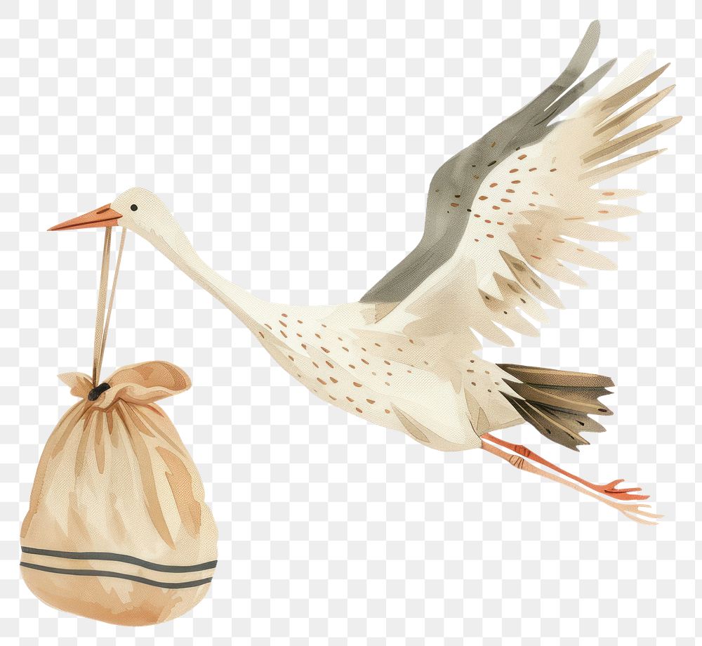 PNG Stork flying carrying a baby in a bag waterfowl animal bird.
