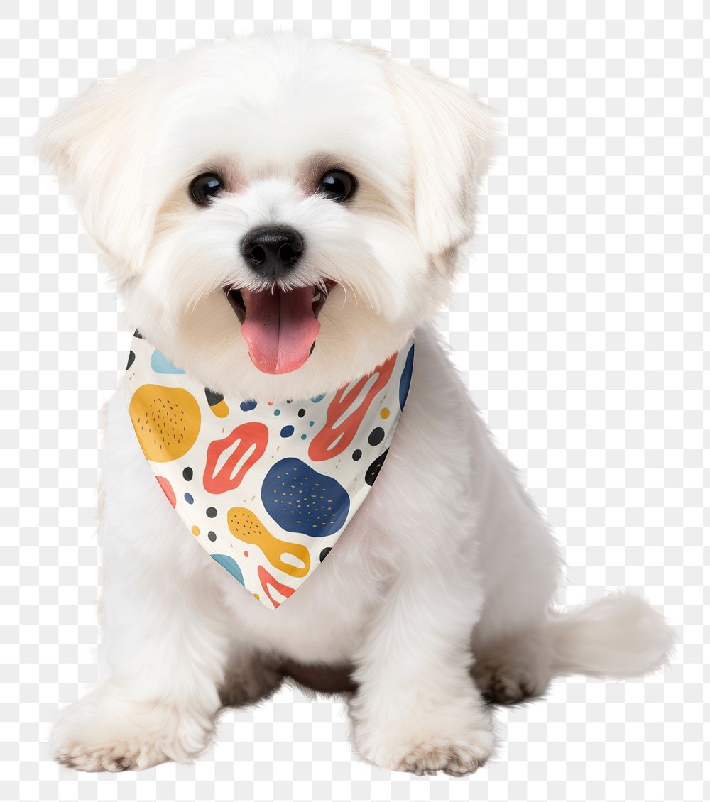 PNG dog scarf, design element, transparent background