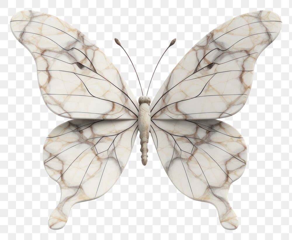PNG Marble Butterfly sculpture butterfly invertebrate accessories.
