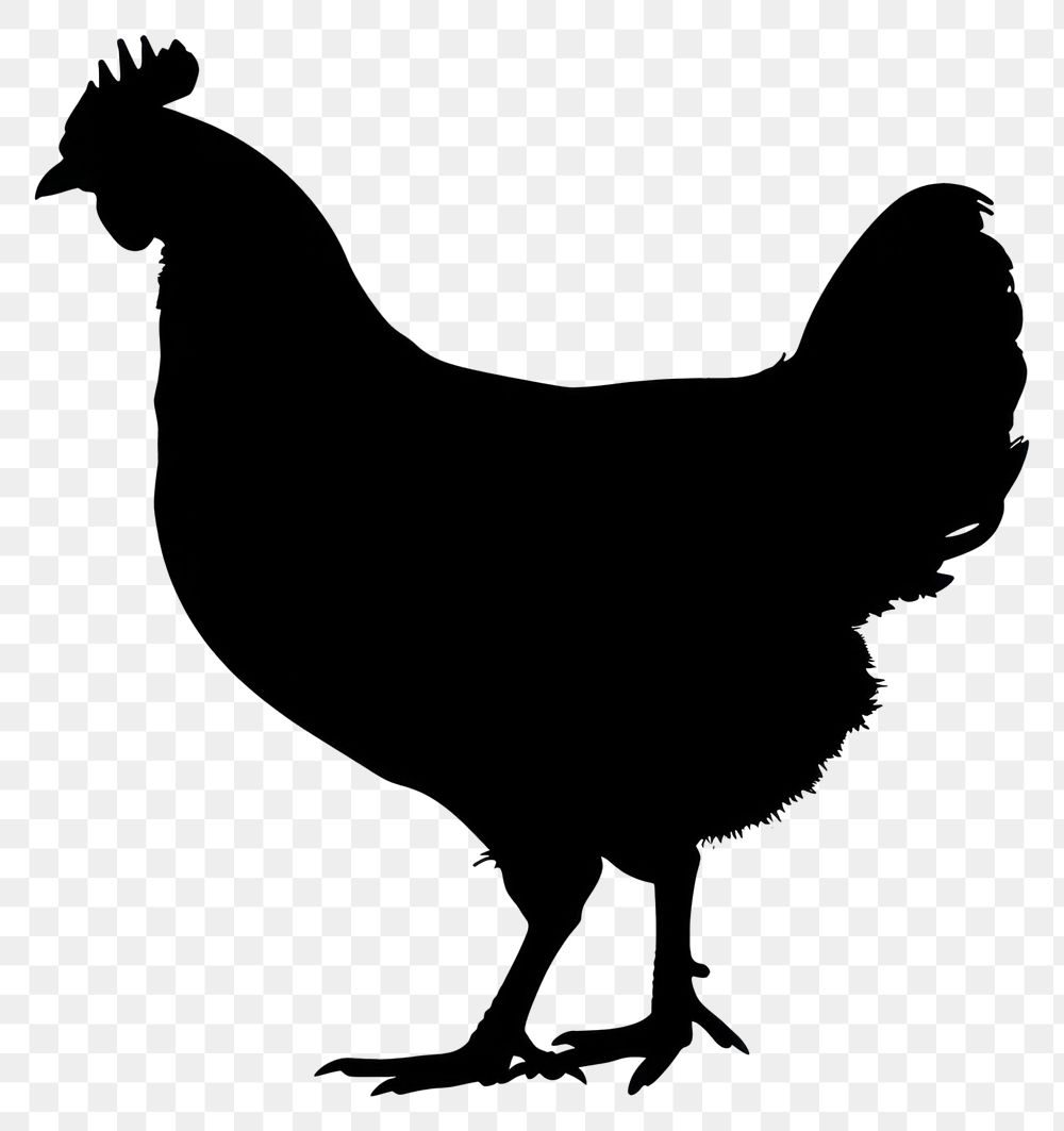 PNG Chicken silhouette chicken kangaroo.