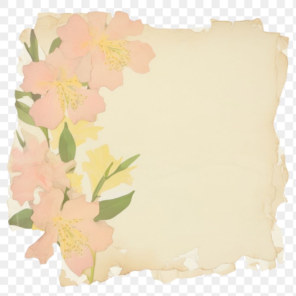 PNG Flowers ripped paper text graphics painting.